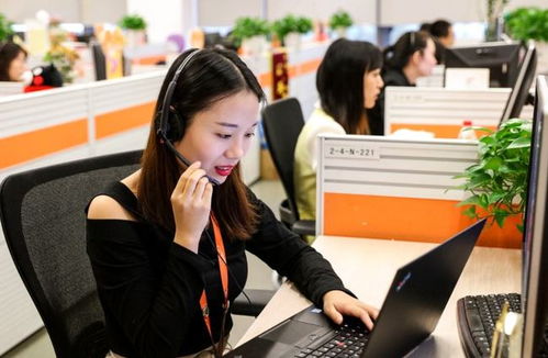 6類適合“老實人”的工作 在信息咨詢服務領域，找到人際關系簡單、工資高又能做長久的職業港灣