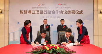 日照企業(yè)創(chuàng)奇跡 90天吞吐億噸，信息服務助力利潤突破4億